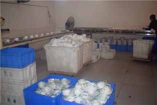 內江市東興區力凈消毒餐具配送中心 專業消毒，優質服務，守護健康